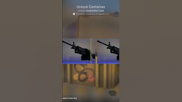 CSGO case opening till I get gloves Day 24