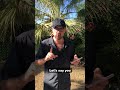 NotebookLM Taught Me While I Walked My Dog