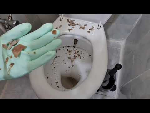 Video: Tuvaletimi temizlemek için sitrik asit kullanabilir miyim?
