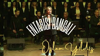 Entarisi Damgalı -Özlem Yıldız