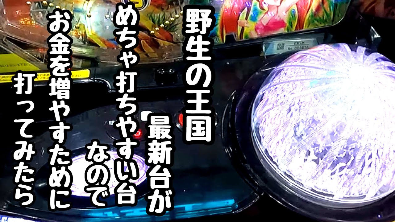 野生の王国の最新台がめちゃ打ちやすいので海物語打つ軍資金を増やそうと打ってみたら、、【PA野生の王国6】