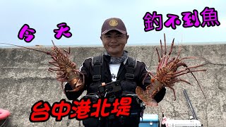 阿凱釣魚去今天北堤釣不到魚