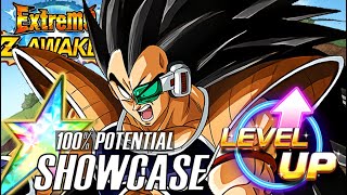F2P SBR KING?! 100% EZA INT Raditz Level 10 Links Showcase | Dragon Ball Z Dokkan Battle