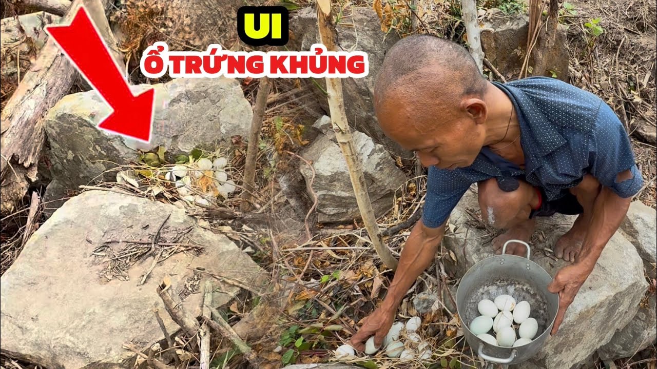 Anh ngơ ngác khi phát hiện ổ trứng khủng ở bờ suối, ban đầu anh tưởng trứng con này