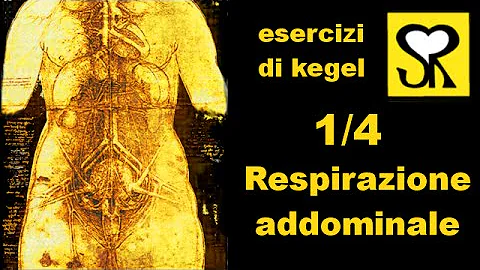 Quali sono gli esercizi perineali di Kegel?