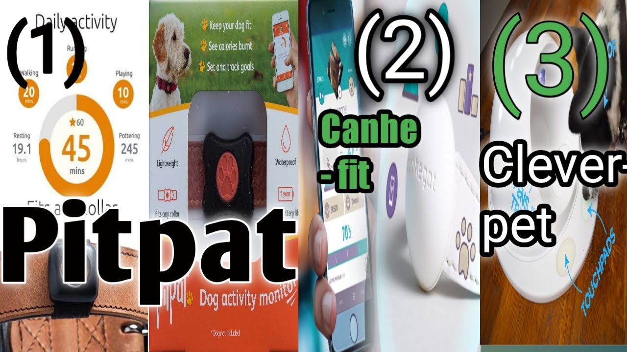 3 NEW DOGS GADGETS INVENTION YOU MUST HAVE If You Have Any Puppies ...
