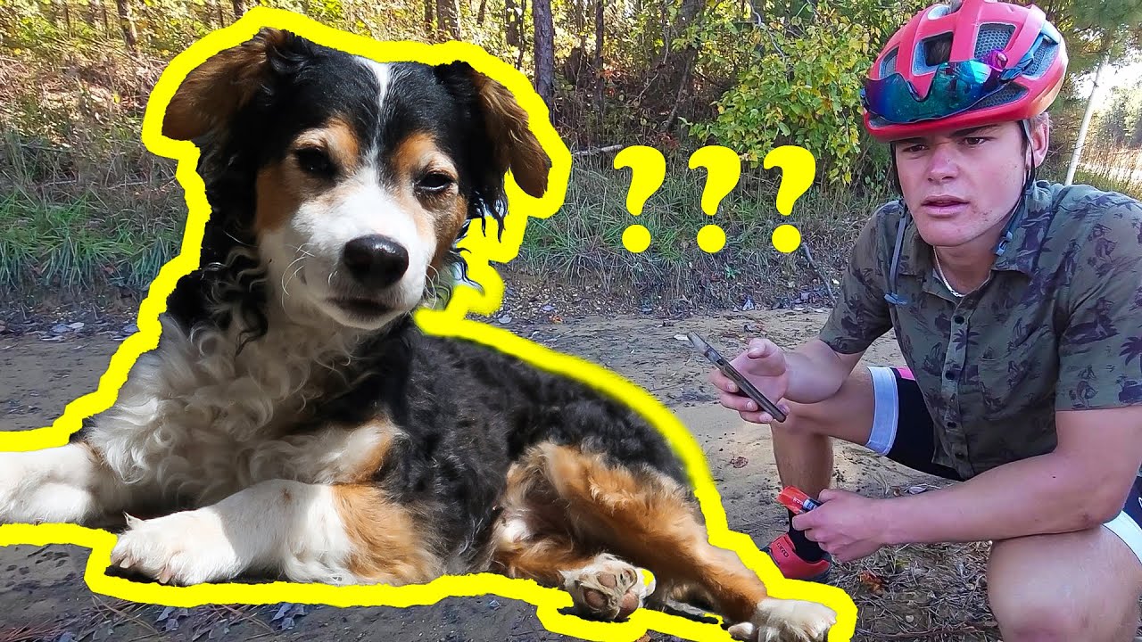 biking-across-america-alabama-faster-than-walking-ep-15-youtube