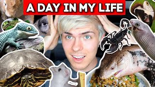 My Pet Care Routine- A Day in My Life with 50 Pets