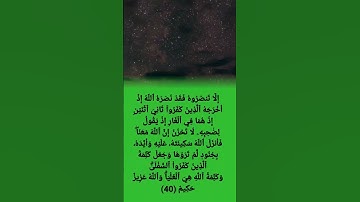 ايات من سورة التوبة بصوت القارئ #عبدالرحمن_مسعد 💜💚😌   #القرآن_الكريم #القرآن #شورت #فلسطين