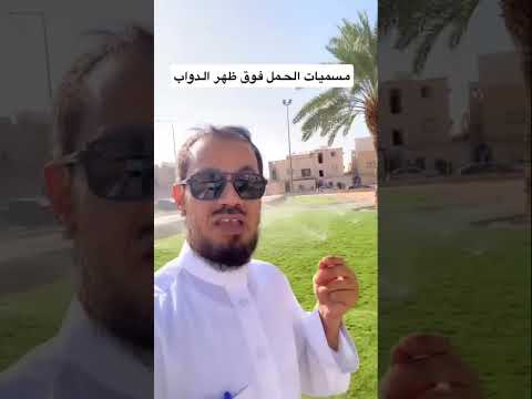 مسميات الأحمال فوق ظهور الدواب عند الآباء والأجداد ٤