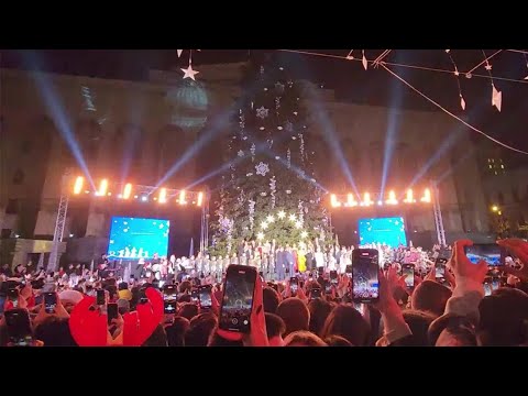 Главную елку и новогоднюю иллюминацию зажгли в Тбилиси