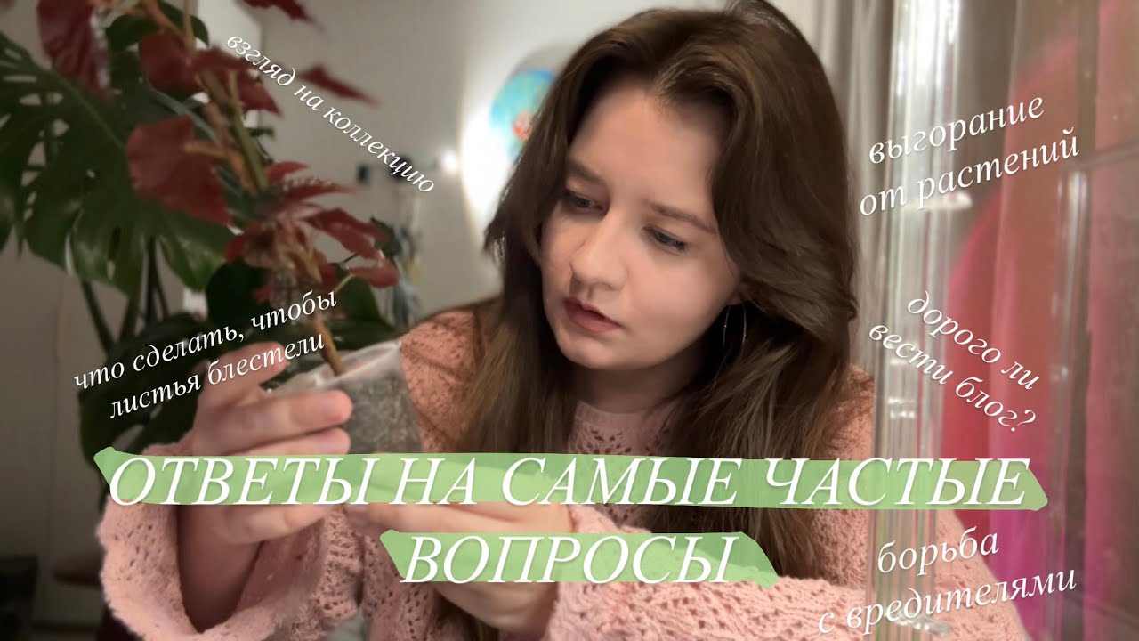 Блеск листьев | Мои нет в Растениях и уходе || закадровая жизнь Зелёного Блога | В&О