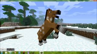 Horse (Harlem)Shake