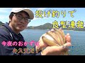 投げ釣りで良型キス連発！今夜のおかずはキス天だ！