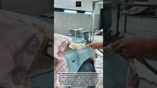 Car Body Repair & Primer Spray Process! #CarRepair #AutoBody #Restoration