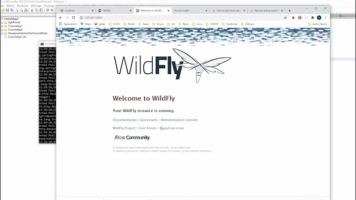 Configuration Widfly  & Interllij  for remote debug access