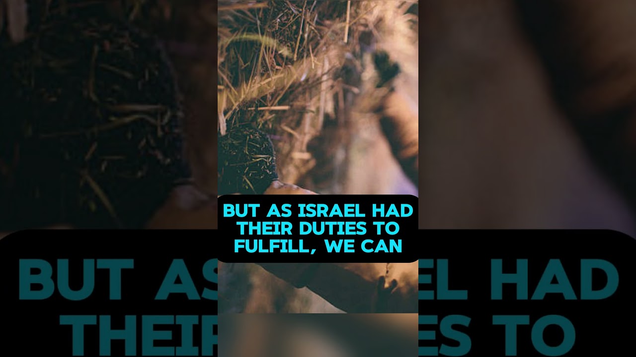 Pocket Points: Cloud of Our Stay