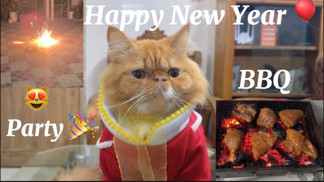 Cherry’s New Year Celebration 🎉 welcome 2026😻