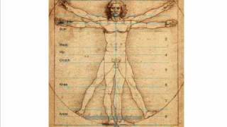 Vitruvian Man Male Fashion Croquis