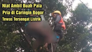 Niat Ambil Buah Pala, Pria di Caringin Kabupaten Bogor, Tewas Tersengat Listrik