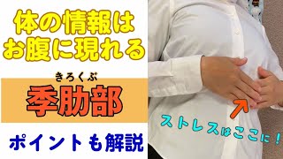 人体力学・井本整体　公式チャンネル　「お腹」