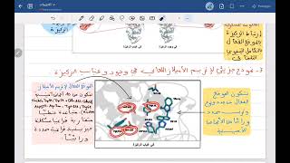 الدورة المجانية للانزيمات: النشاط الانزيمي الجزء الثاني
