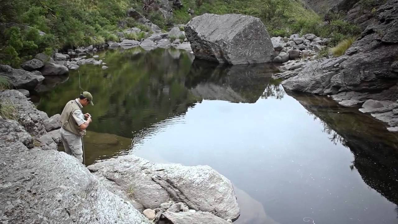 Rincon de Luna Fly Fishing Cordoba, Argentina YouTube