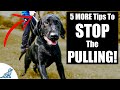 5 MORE Tips To Stop Your Dog From Pulling On The Leash