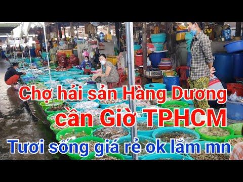 Video Du Lịch Cần Giờ hải sản chợ Hàng Dương - youtube