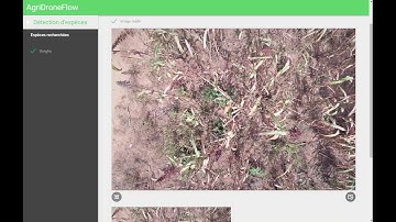 E-Argriculture: Sorghum Yield Prediction using Drone and Machine Learning