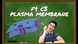 [ENG] F4 C3 PLASMA MEMBRANE - ONLY 4 THINGS TO KNOW