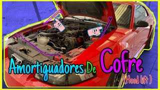 Amortiguadores de cofre (hood lift) MUSTANG new edge