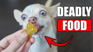 10 Toxic Dog Treats Killing Dogs (Vet Warning 2025) ⚠️