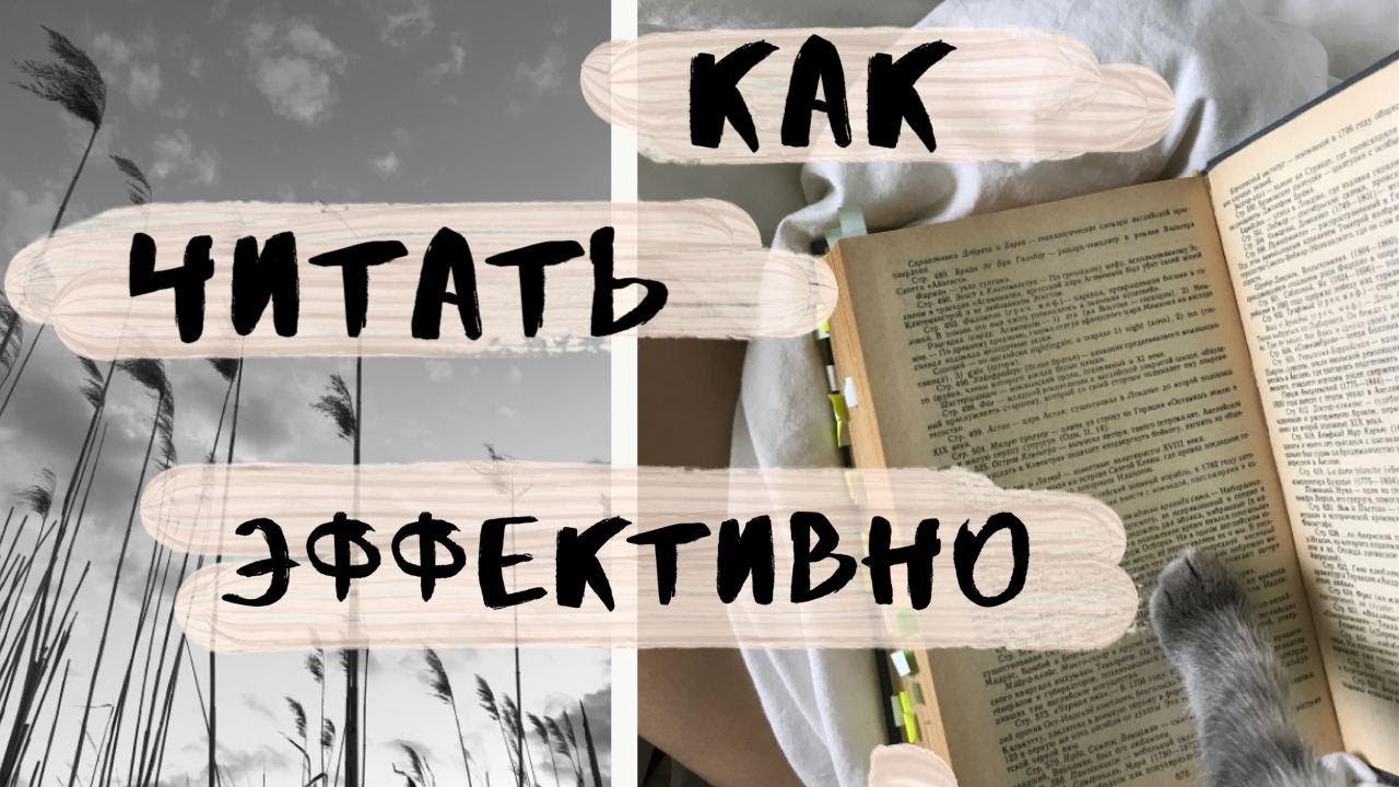 Книга читаем читаем эффективная