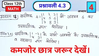 Class 12 Maths Chapter 4 Example 19 & 20 Full Solution | Determinants NCERT Hindi