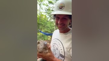 Herkimer Diamond Digging LIVE💎