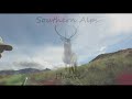ROAR 2021 PART TWO - EPIC CLOSE ENCOUNTERS WITH ROARING RED STAGS