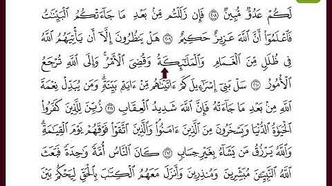 تلاوة خاشعة من سورة البقرة - الآيات 204-215