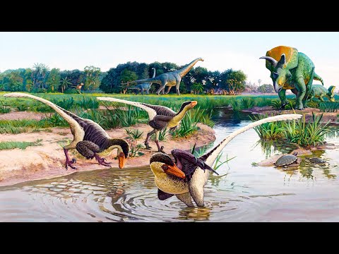 Video: Russian Paleontologists Have Found A New Species Of Dinosaurs - Alternative View