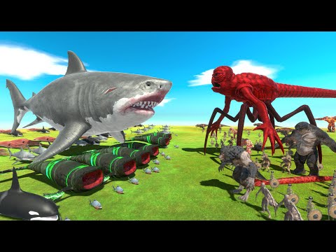 MEgalodon VS Titanus