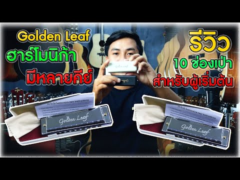Golden Leaf ฮาร์โมนิก้า Harmonica ขนาด 10 ช่อง สำหรับผู้เริ่มต้น