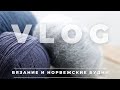 VLOG 112 | ВЯЗАНИЕ И НОРВЕЖСКИЕ БУДНИ | МОЯ ВЯЗАЛЬНАЯ НЕДЕЛЯ | ЛЕТО В НОРВЕГИИ И ПОЕЗКА В ТОННЕС