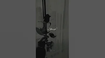تصميم على اغنية هزتني نسمات الليالي بدون موسيقى 