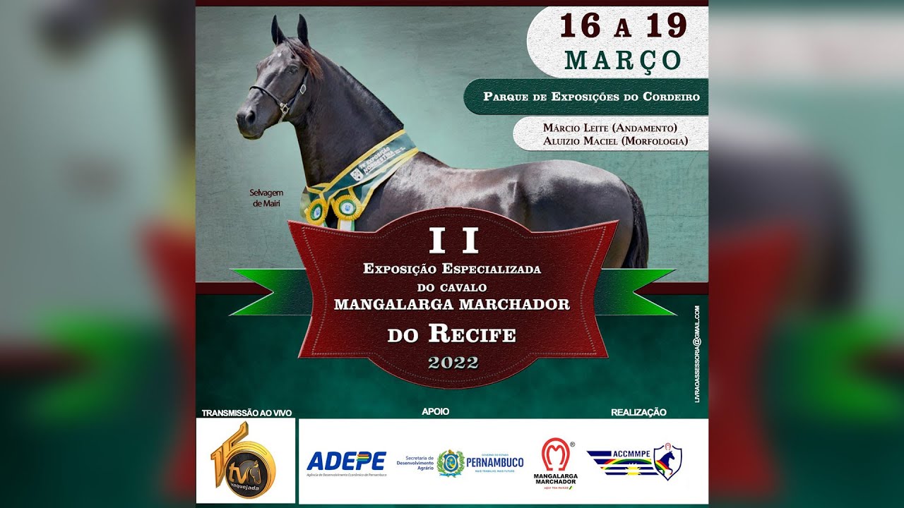 2nd Specialized Exhibition of the Mangalarga Marchador Horse LIVE