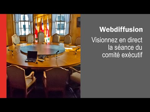 2022-06-29 9 H 30 - Comité exécutif