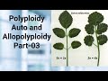 Polyploidy||Auto and Allopolyploidy difference || Important case