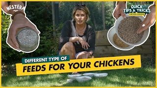Explaining The Different Types of Feed For Your Chickens.
Explaining The Different Types of Feed For Your Chickens.
In this video we will be explaining the difference between Chick Crumb, growers mash, layers mash, pellet, grit and mixed grains.
Thank you for watching this video and remember to Subscribe.
Comment any questions below.
Purchase your very own red mite resistant, recycled plastic, low maintenance chicken coop below.
Nestera UK: https://nestera.co.uk/pages/the-nestera-coop-range
Nestera US: https://nestera.us/pages/the-nestera-coop-range
Nestera FR: https://nestera.fr/pages/discover-the-nestera-coop
Nestera DE: https://nestera.de/pages/discover-the-nestera-coop
Nestera BE: https://nestera.be/pages/discover-the-nestera-coop
Nestera NL: https://nestera.nl/pages/discover-the-nestera-coop
Nestera ES: https://nestera.es/pages/discover-the-nestera-coop
Nestera IT: https://nestera.it/pages/discover-the-nestera-coop Explaining The Different Types of Feed For Your Chickens.