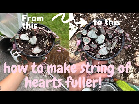 How to create