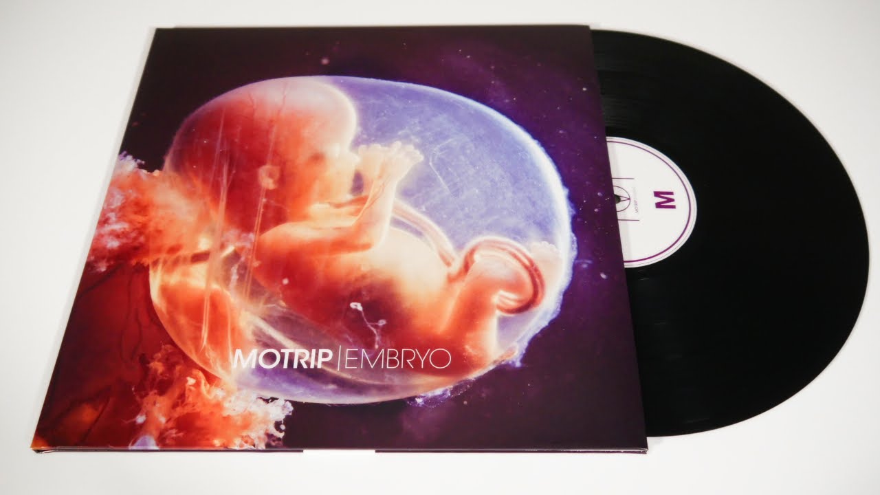 motrip embryo album