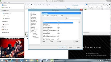 Best utorrent setting